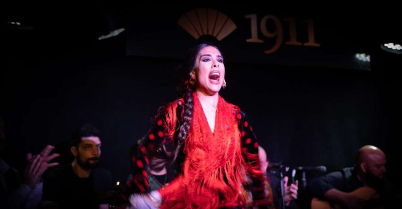 Madrid: Flamenco Show & Drink at Tablao 1911 (World's Oldest) - Flamenco Show Experience