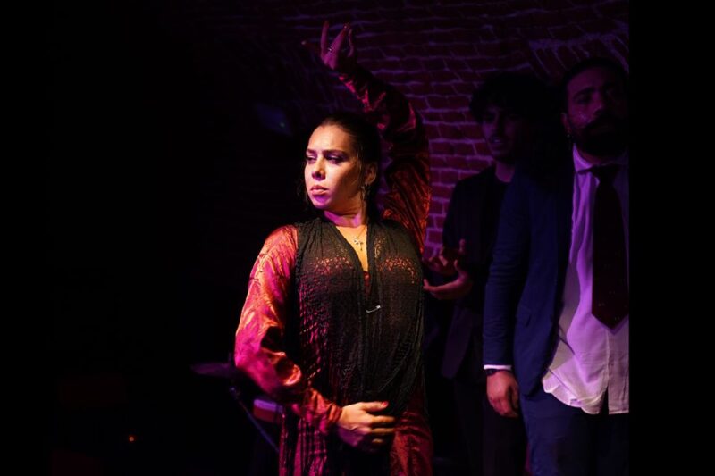 Madrid: Flamenco Show Entry Ticket With Drink & Artist Talk - Flamenco Show Experience
