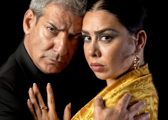 Madrid: Flamenco Show Entry Ticket With Drink & Artist Talk - Recommended Activity Timing