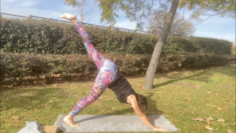 Madrid: Flow Yoga Class in Retiro Park - Customer Reviews