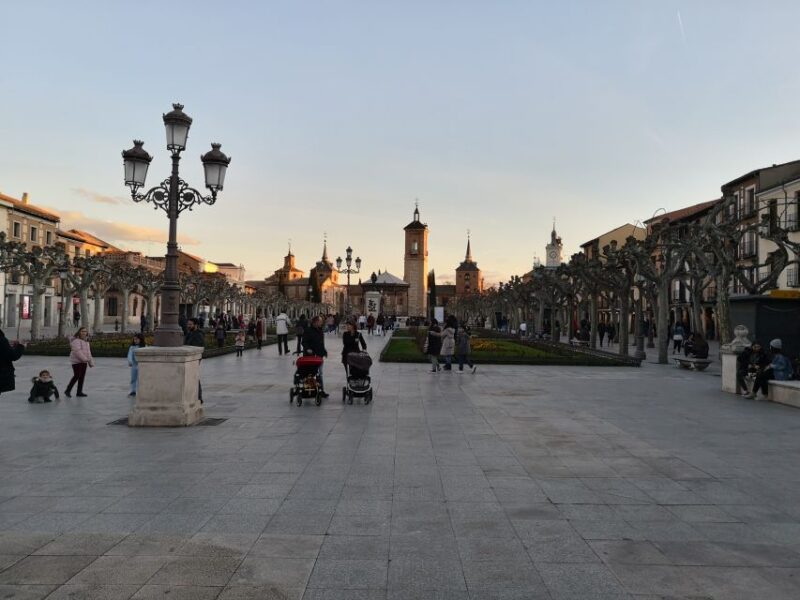 Madrid: Half-Day Alcala De Henares Tour - Discounted Student Pricing