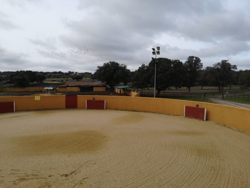 Madrid: Half-Day Bull Breeding Farm Tour - Guided Tour of Facilities