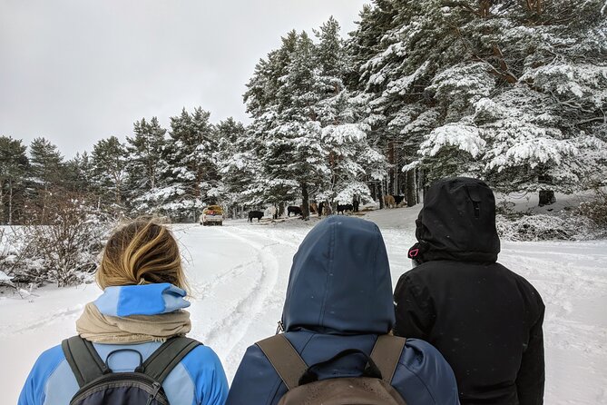 Madrid Mountains Free Walking Tour - Preparing for the Tour