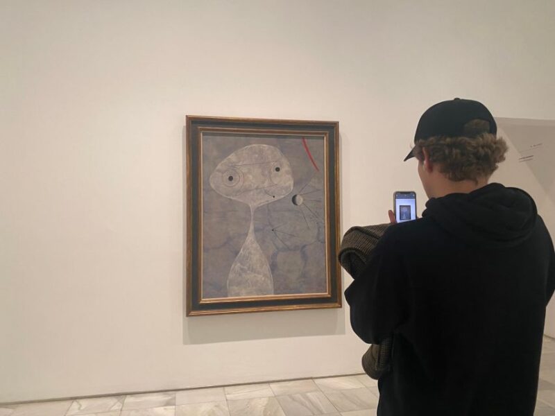 Madrid: Prado Museum Guided Tour Optional Reina Sofia - Highlights