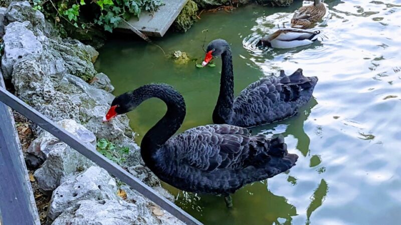 Madrid: Retiro Park Guided Tour With a Photographer - Sightseeing Stops