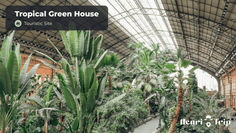 Madrid : The Only Guide - Recommendations and Insights