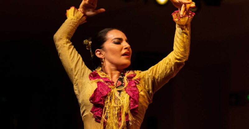 Madrid: The Villa Flamenco Show Tablao - Experience Overview and Details