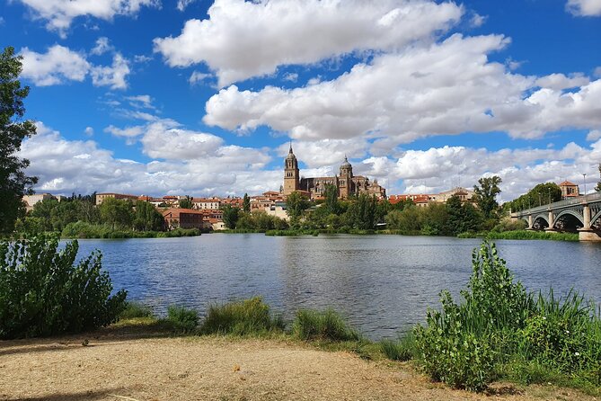 Madrid to Porto Day Trip up to 2 Stops (Avila and Salamanca) - Itinerary Overview
