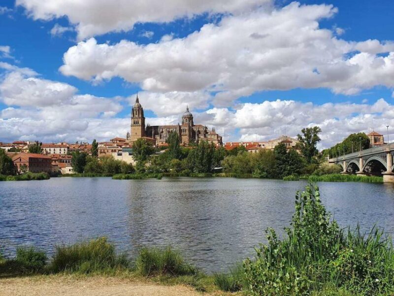 Madrid to Porto up to 2 Stops (Avila and Salamanca) - Inclusions