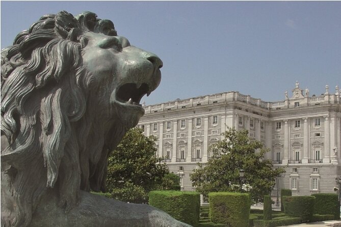 Madrid Tour and Guided Visit Royal Palace - Reviews and Feedback