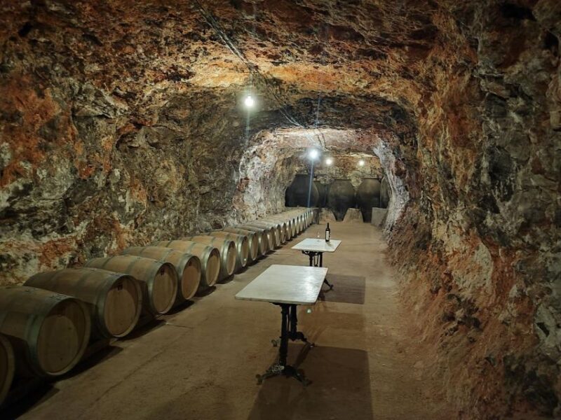 Madrid: Visit to Winery With Tasting + Lunch - Group Size and Accessibility