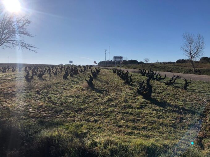 Madrid: Visit to Winery With Tasting + Lunch - Booking and Policies
