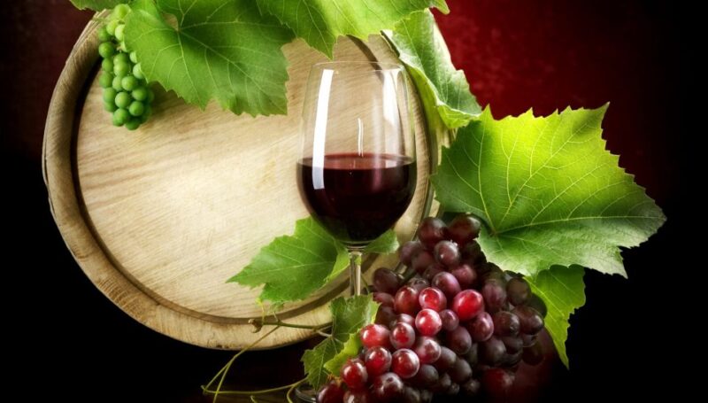 Madrid Wine Tasting, Flamenco Class and Pub Crawl - Cancellation Policy