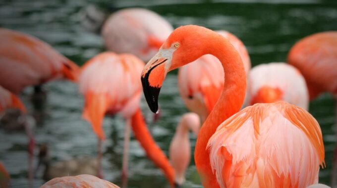 Madrid: Zoo Aquarium Madrid Ticket - Off-Peak Seasons