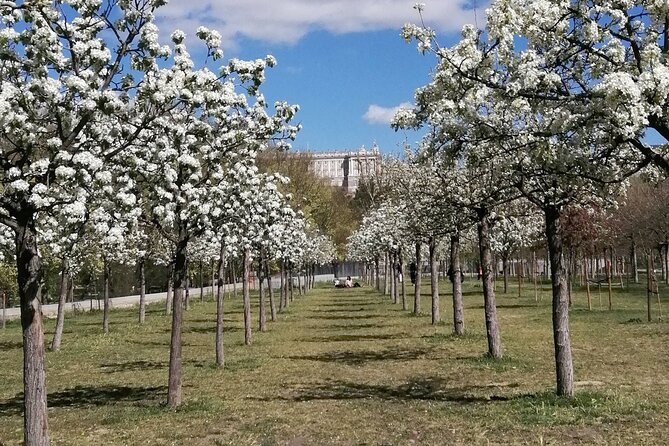 Madrid'S Golden Age: History Along the Manzanares River - Exploring the Riverside Promenade