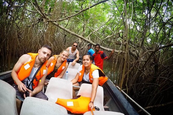 Madu River Boat Safari Balapitiya - Cultural Highlights and Activities
