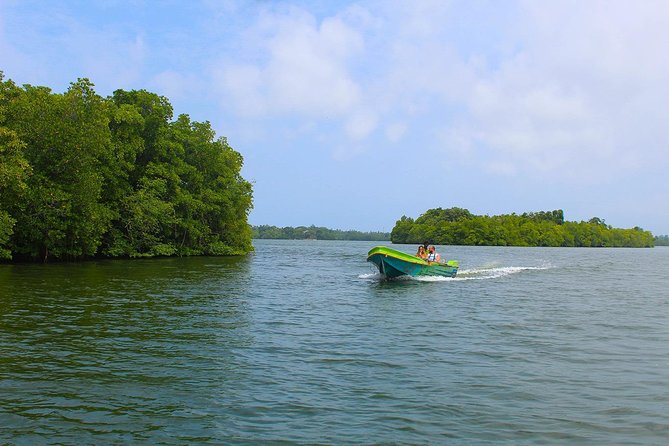 Madu River Boat Safari Balapitiya - Boat Safari Inclusions and Services