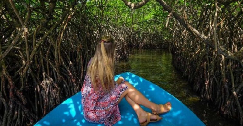 Madu River Safari and Turtle Farm Tour From Colombo - Key Points