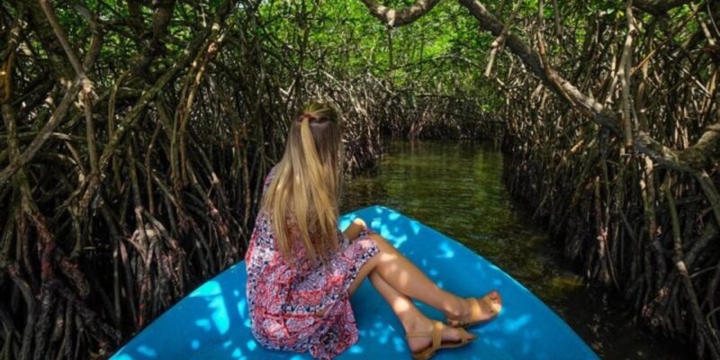 Madu River Safari and Turtle Farm Tour From Colombo - Madu Ganga Ecosystem