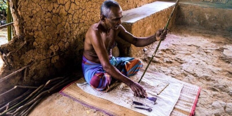 Madu River Safari and Turtle Farm Tour From Colombo - Bentota Destination