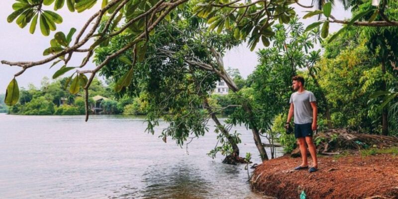 Madu River Safari and Turtle Farm Tour From Colombo - Inclusions and Exclusions