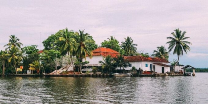 Madu River Safari and Turtle Farm Tour From Colombo - Recap