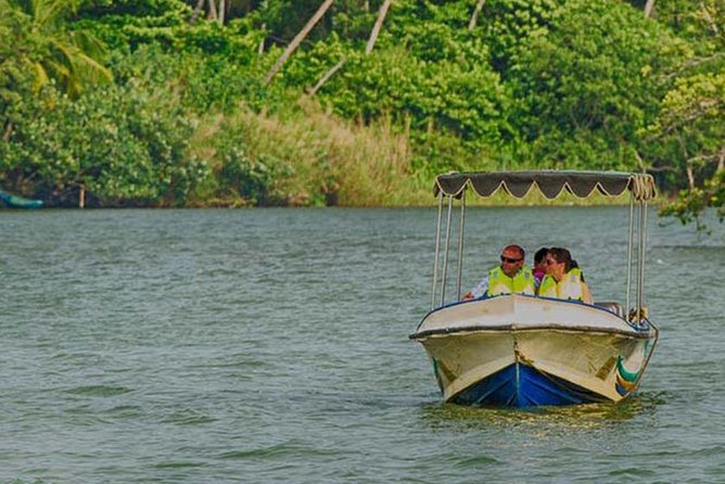 Madu River Safari at Balapitiya - Mangrove Ecology Insights