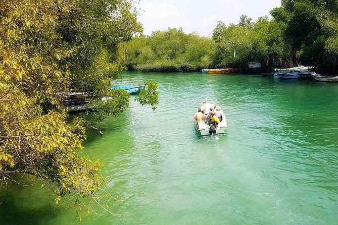 Madu River Safari at Balapitiya - Sacred Site Visitation