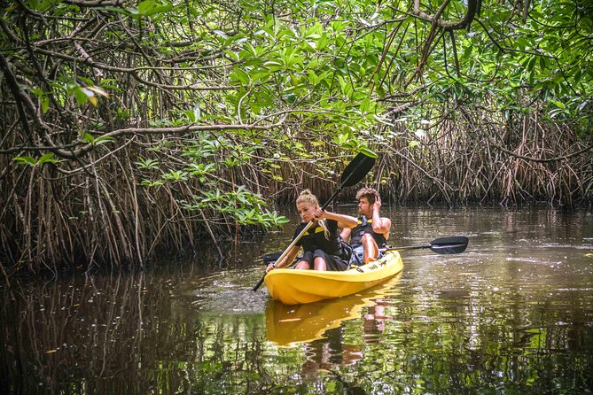 Madu River Sunrise Mangrove Kayaking - Meeting and Booking Information