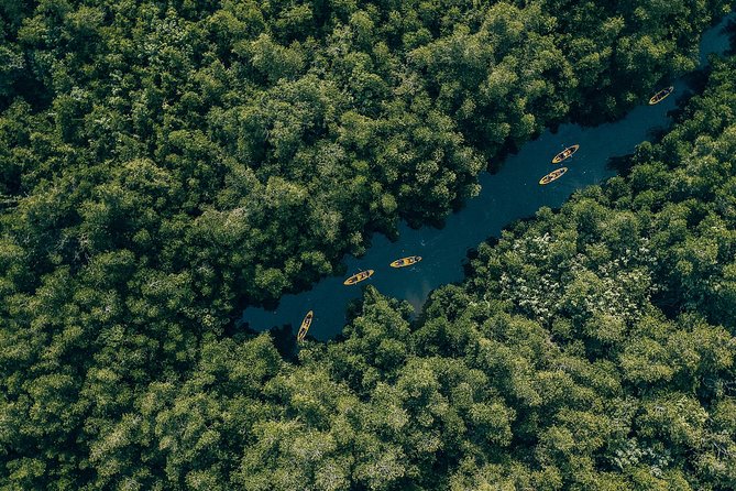 Madu River Sunrise Mangrove Kayaking From Bentota - Location and Duration