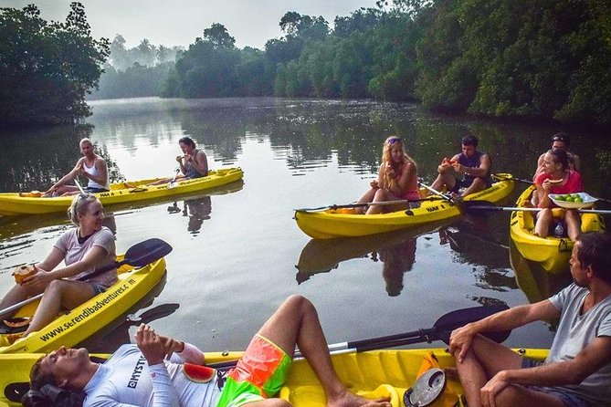 Madu River Sunrise Mangrove Kayaking From Bentota - Pricing and Cancellation
