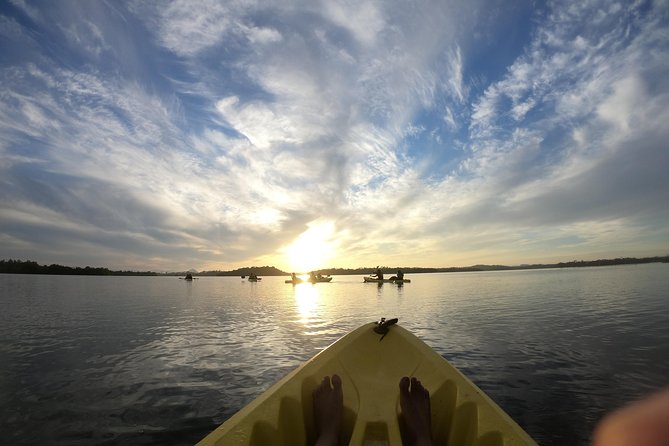 Madu River Sunrise Mangrove Kayaking From Bentota - Included Amenities
