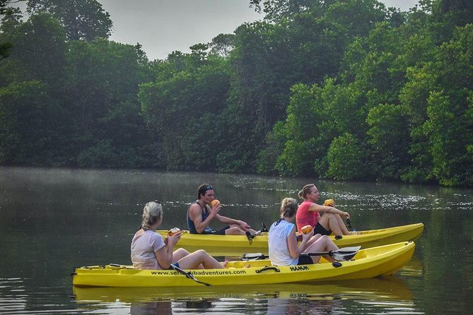 Madu River Sunrise Mangrove Kayaking From Bentota - Itinerary Schedule