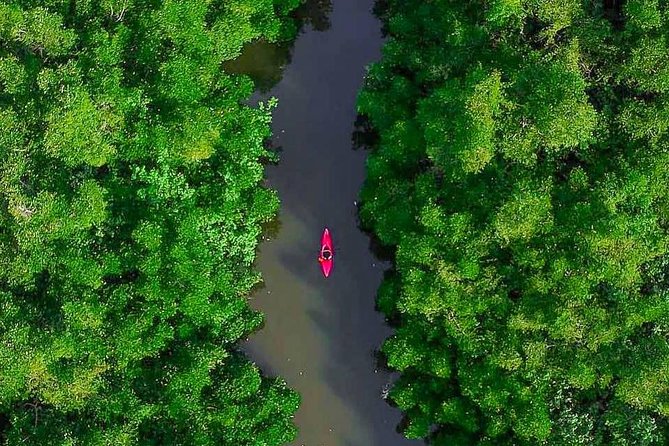 Madu River Sunrise Mangrove Kayaking From Bentota - Getting There