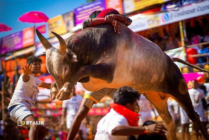 Madurai to Rameswaram Full-Day Tour - Sights and Attractions