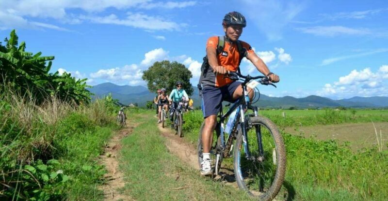 Mae Taeng Valley and Sticky Waterfalls Cycling Tour - An In-Depth Look at the Tour