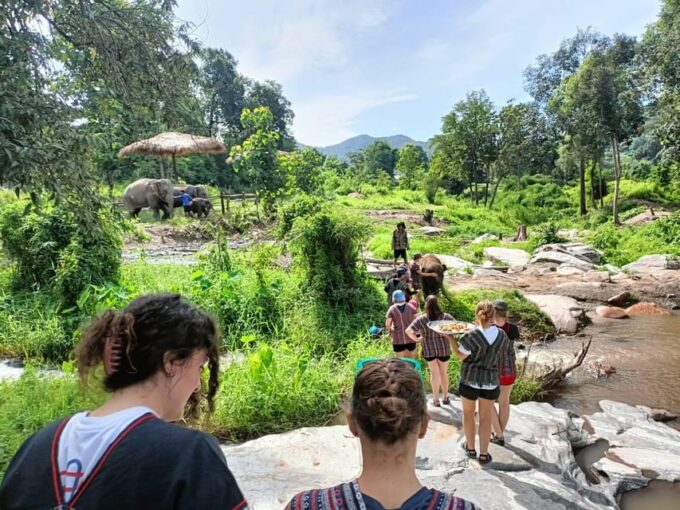 Maewang, Chiangmai: Elephant Jungle Park Day Tour - Frequently Asked Questions