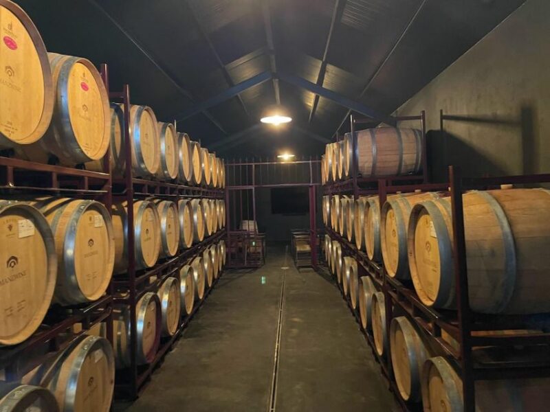Mafra: Wine & Country Tour - Key Points