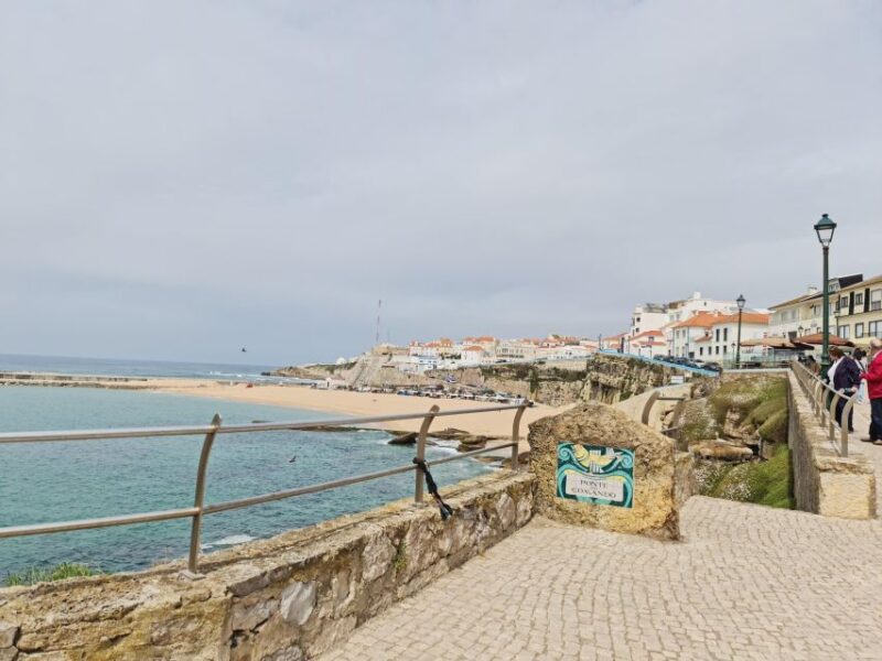 Mafra: Wine & Country Tour - Language and Group Options