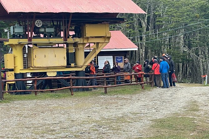 Magallanes Forest and Club Andino Tour From Punta Arenas - Itinerary Highlights