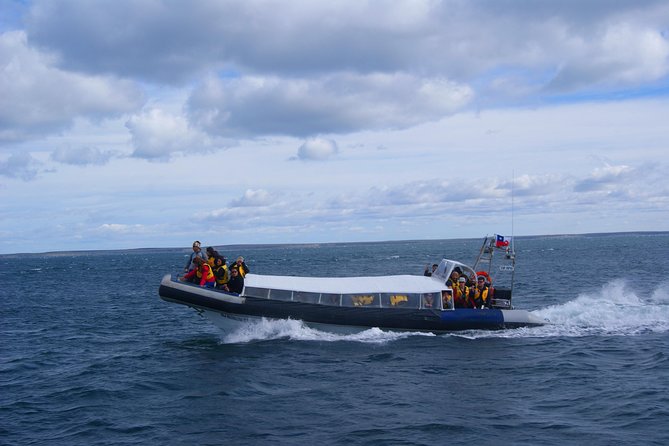 Magdalena Island Penguin Tour by Boat From Punta Arenas - Boat Cruise and Island Exploration