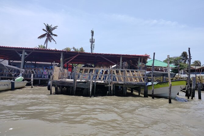 Magdalena River and Bocas De Cenizas Tour - Key Points