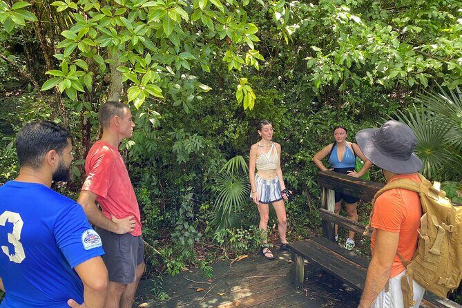 Magens Bay Trail Hiking Tour - An In-Depth Look at the Magens Bay Trail Hiking Tour