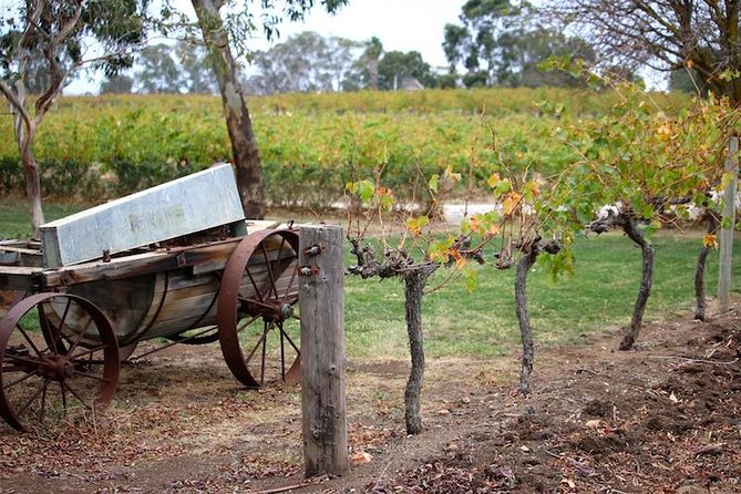 Maggie Beer Farm - Barossa Valley Regional Tour - Pickup Locations