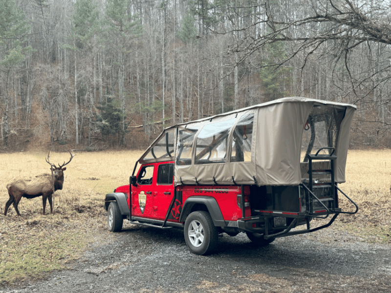 Maggie Valley: Guided Safari Jeep Mile-High Adventure - Itinerary and Tour Details