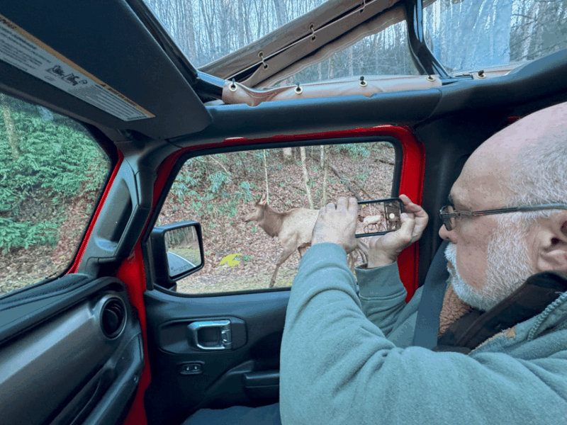 Maggie Valley: Guided Safari Jeep Mile-High Adventure - Important Information for Participants
