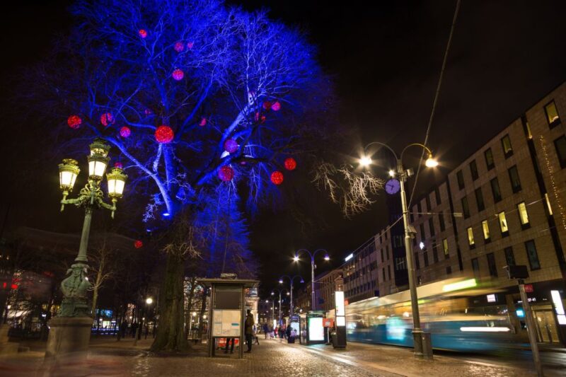 Magic Christmas Tale in Gothenburg Walking Tour - Inclusions