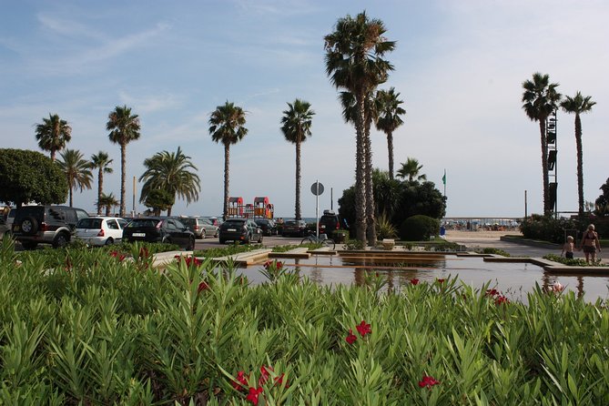 Magic Christmas Tour in Salou - Preparing for Your Visit