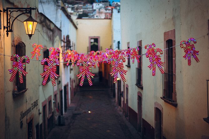 Magic Christmas Tour in Zacatecas - Inclusions and Benefits