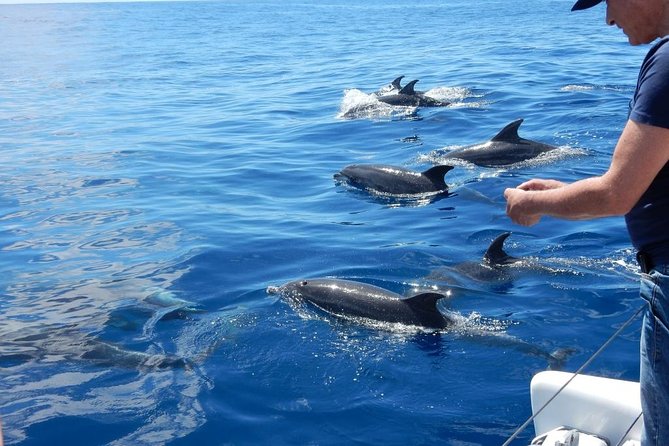 Magic Dolphin Celebrity - Jeep Excursion and Catamaran Boat Trip